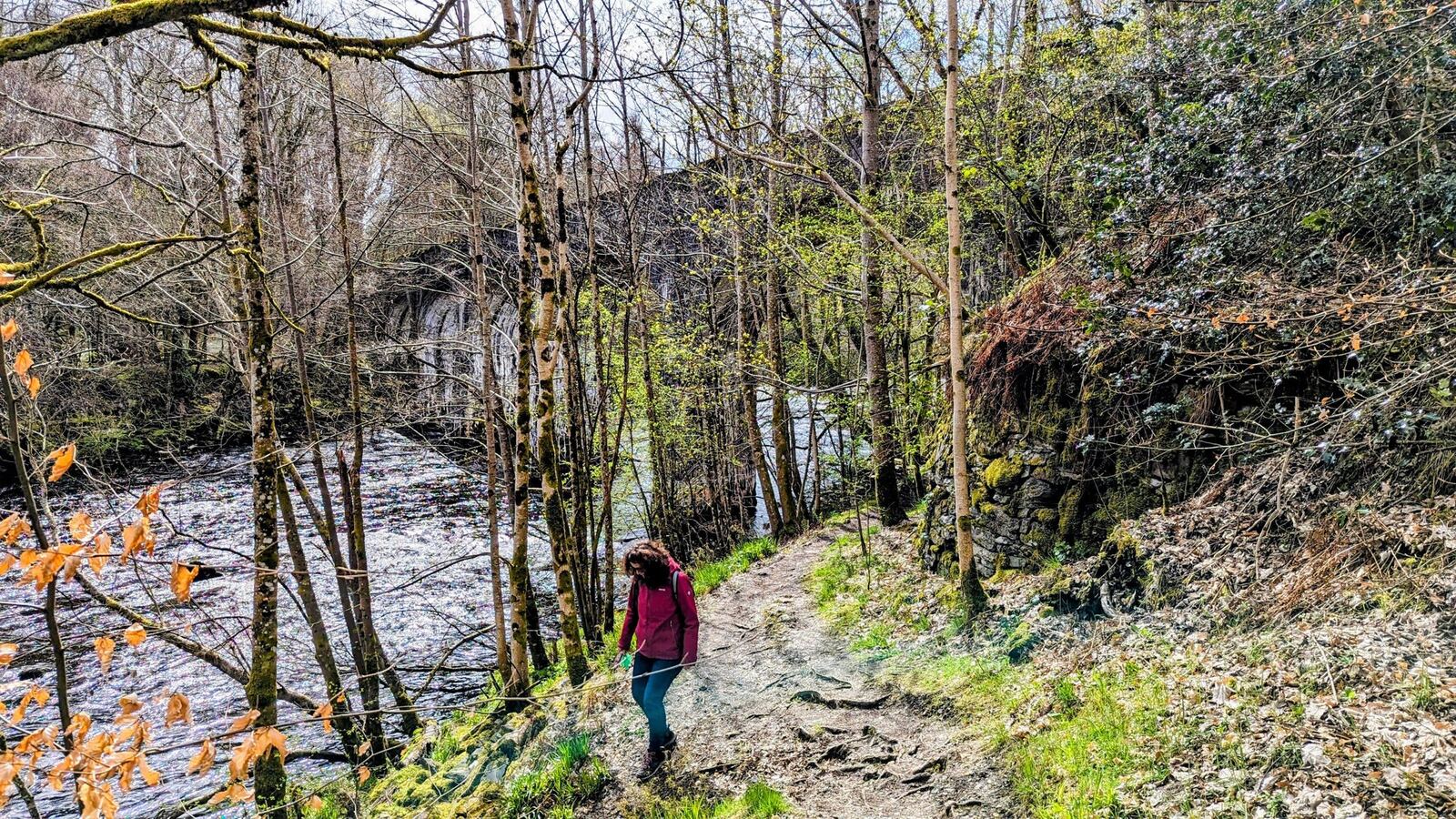 A walker on a riverside path beside the River Dochart at Killin among spring trees.