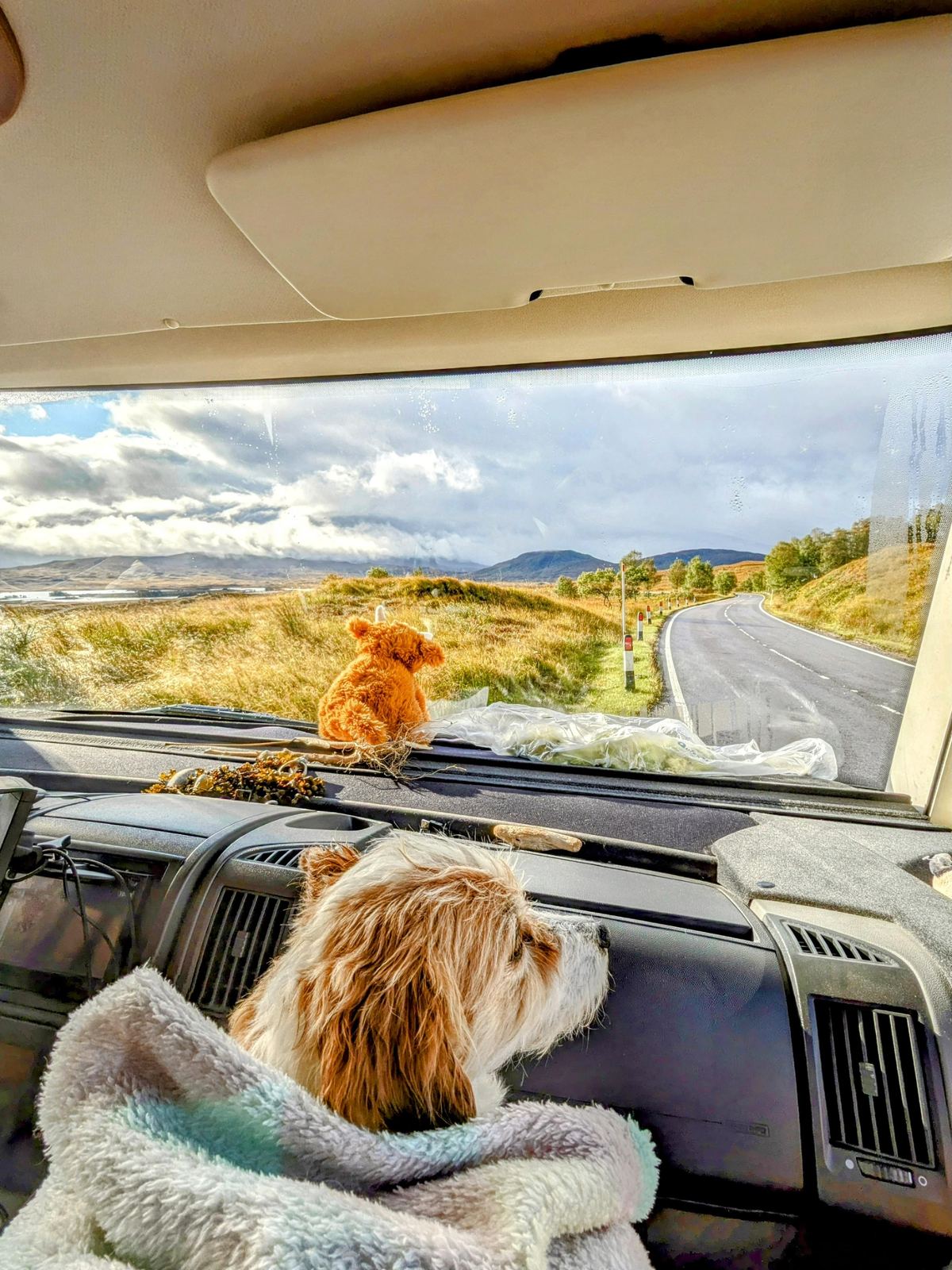 View through a motorhome windscreen on the A82 by Bridge of Orchy on the edge of Rannoch Moor, a toy Highland cow on the dashboard and Lillie the dog looking out at the empty moorland road ahead.