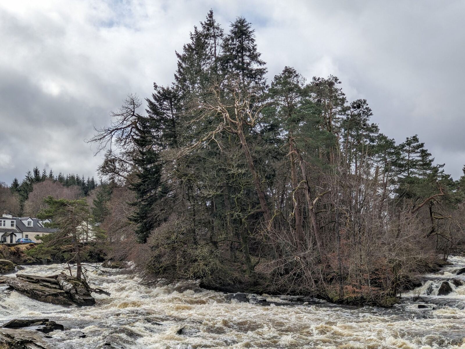 The wooded island of Innis Bhuidhe in the River Dochart at Killin, the ancient burial ground of Clan MacNab, pines rising above the water.
