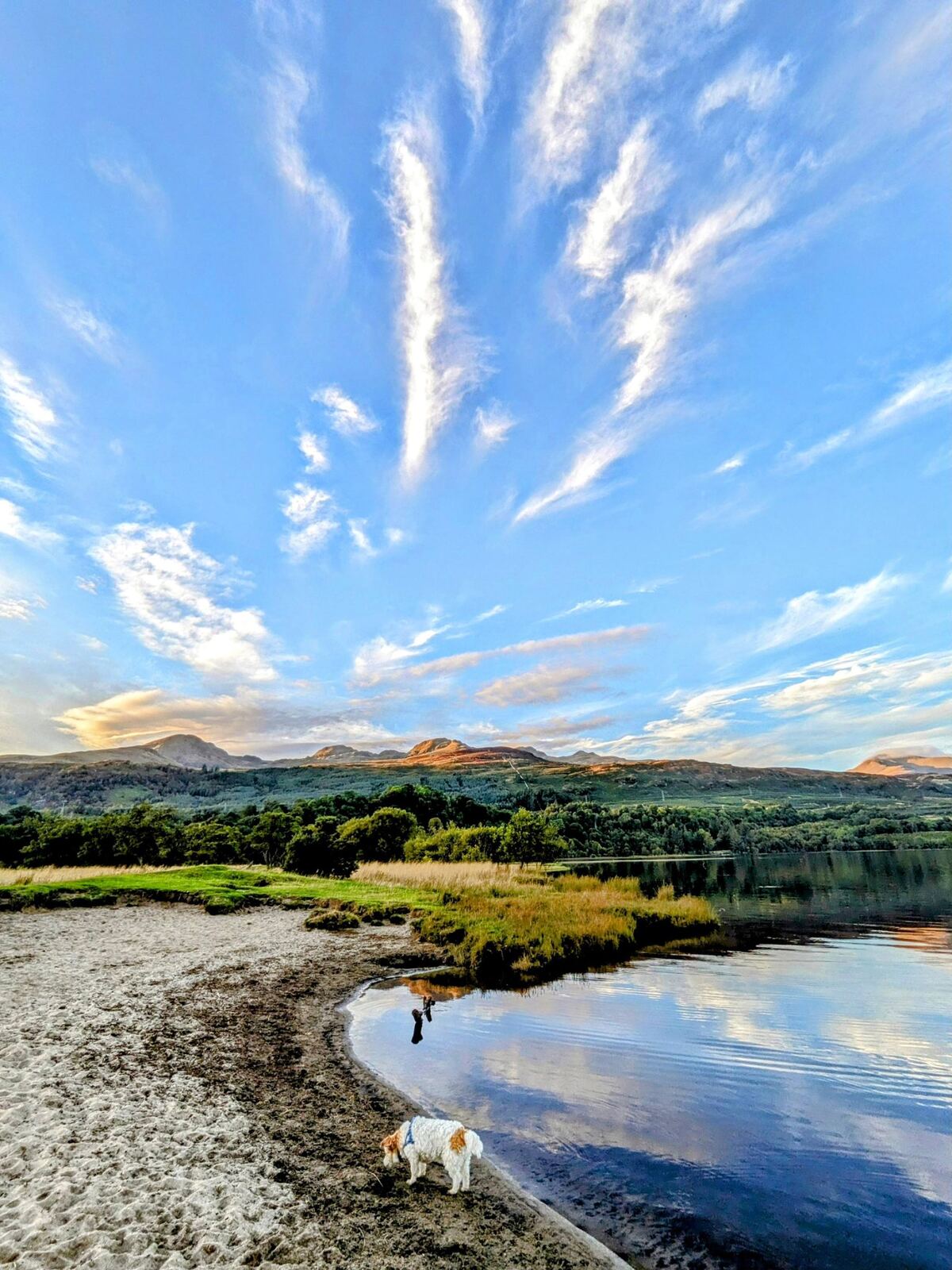 Sunset over the head of Loch Tay near Killin, the calm water turned pink, Lillie the dog on the shore.
