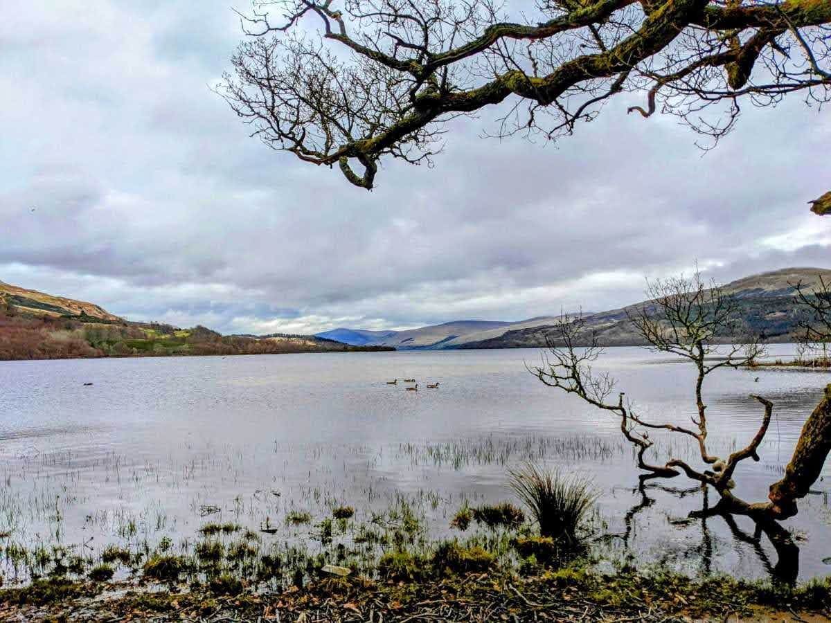 A view of Loch Tay through bare trees from the local walk out of Killin, hills beyond.