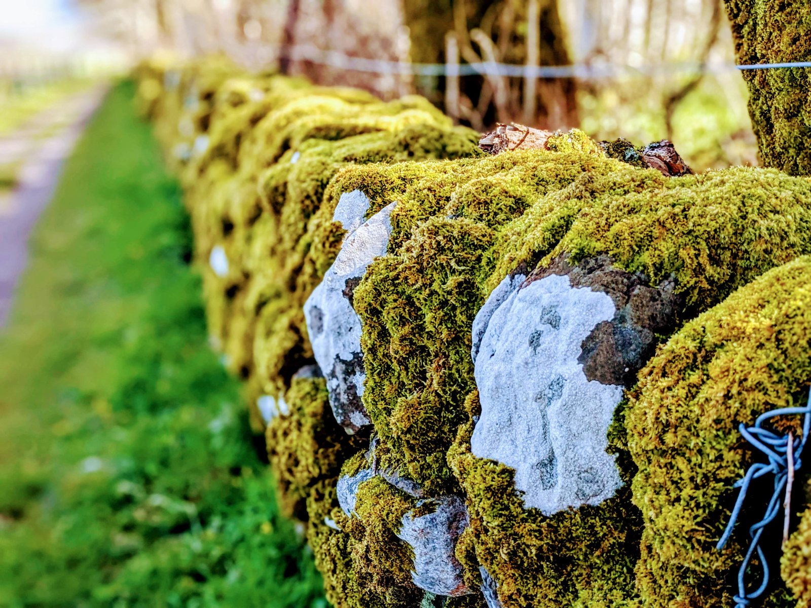 The drystone wall around Kilmartin churchyard.