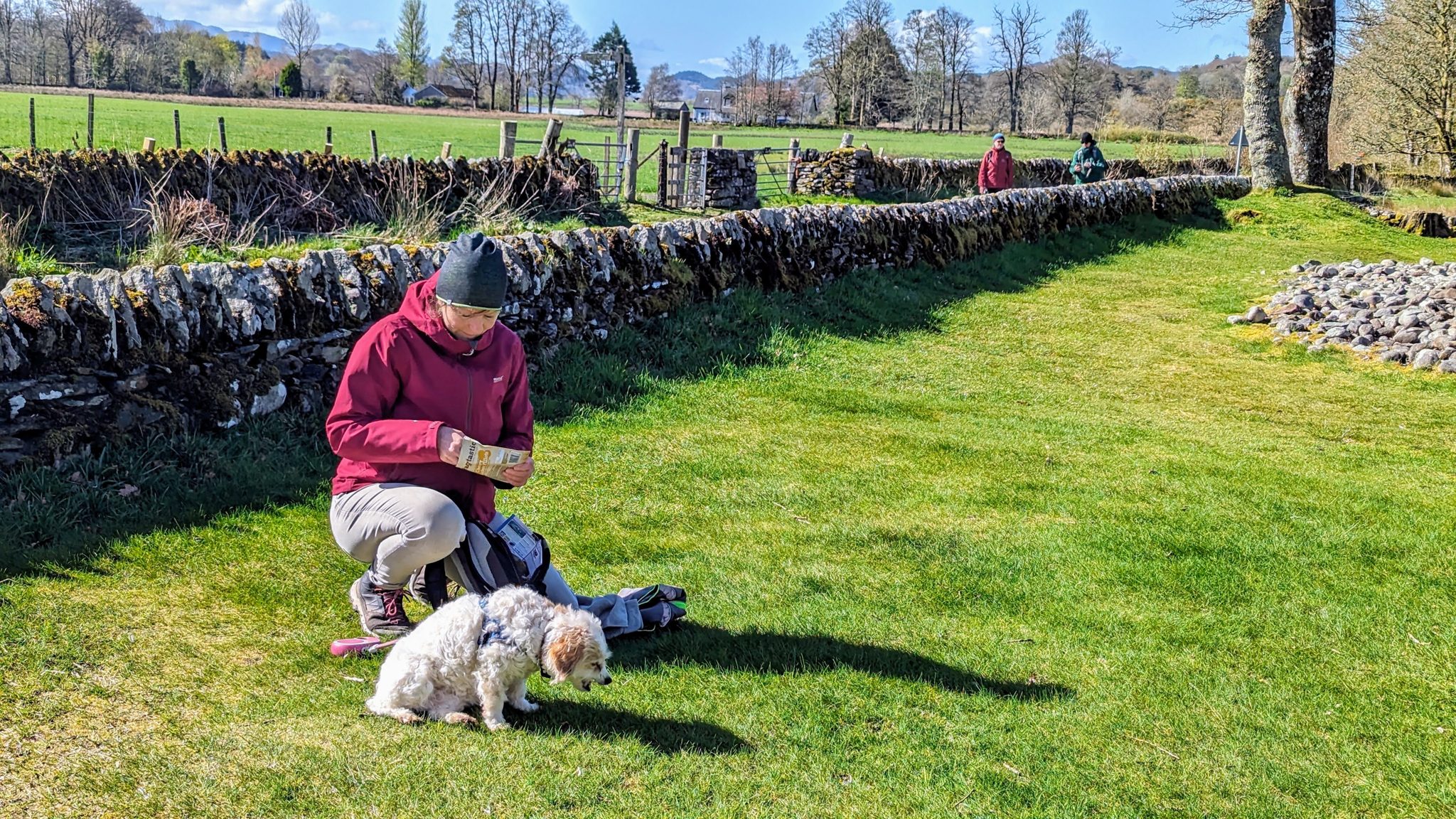 Kevin crouching with Lillie the dog beside the drystone wall along the linear cemetery at Kilmartin Glen.