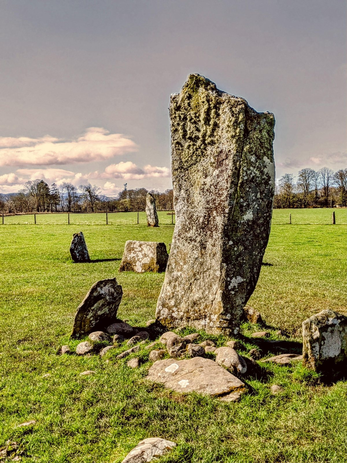 A cup-marked standing stone at Nether Largie, Kilmartin Glen.