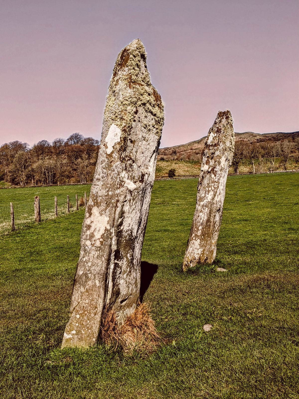 Evening light on the Nether Largie standing stones.