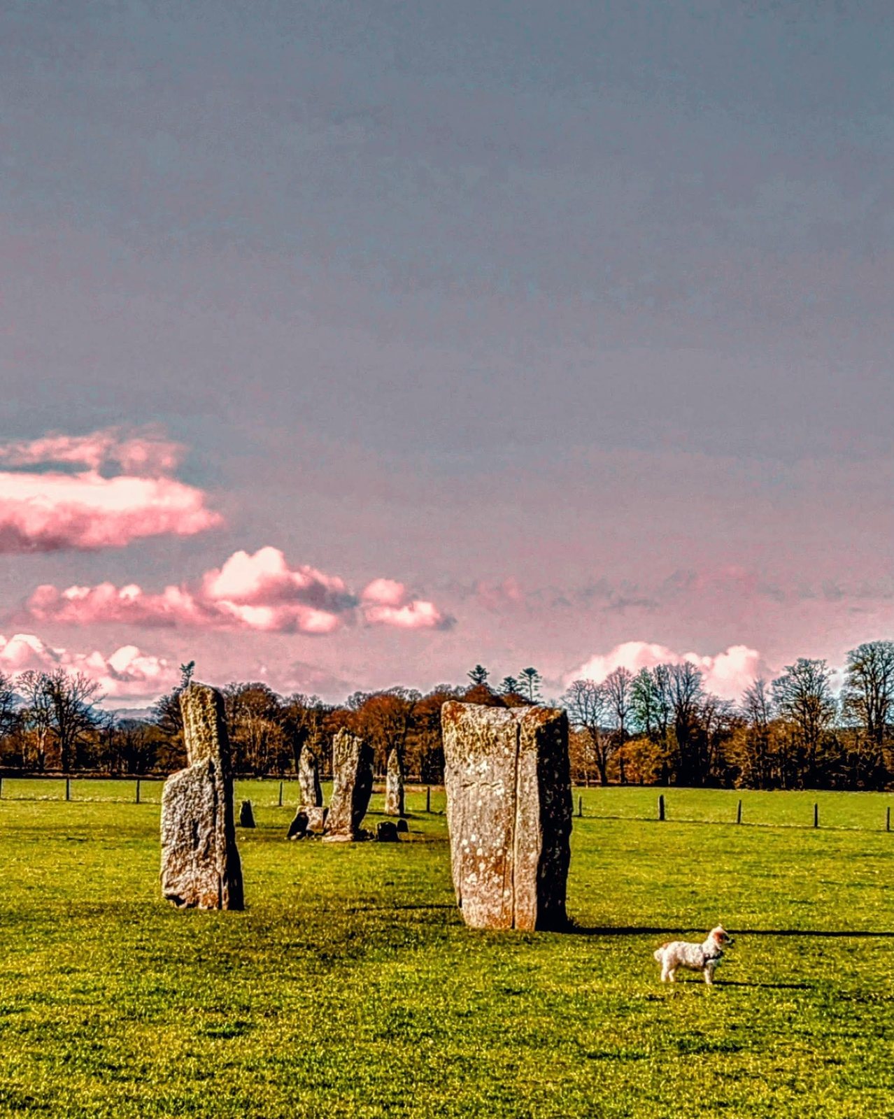 The Nether Largie standing stones at sunset, Kilmartin Glen.