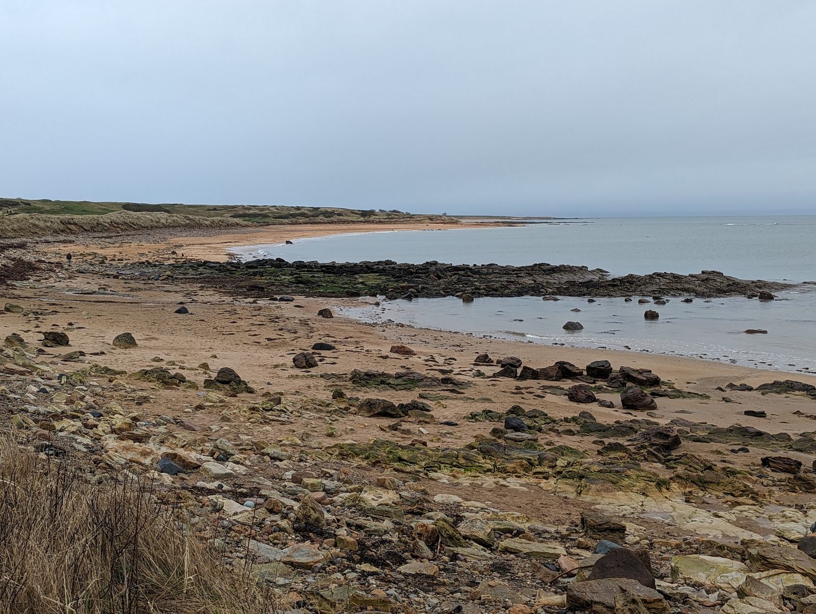 The wide beach and rocky shore at Kingsbarns on the Fife coast.
