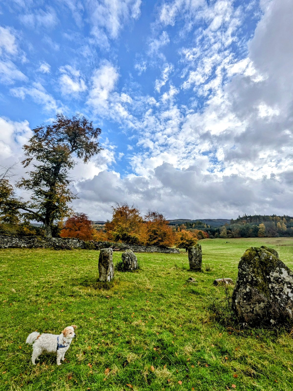 Close view of the Kinnell standing stones