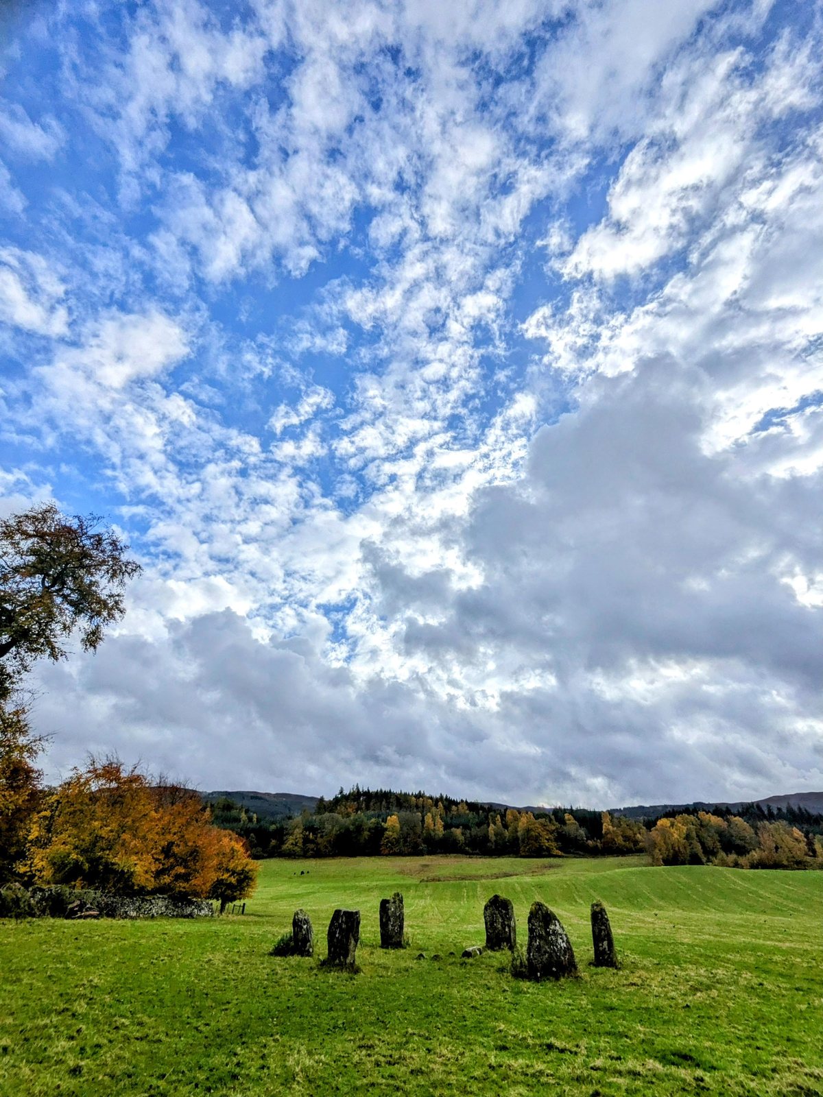 Six standing stones in a field at Kinnell