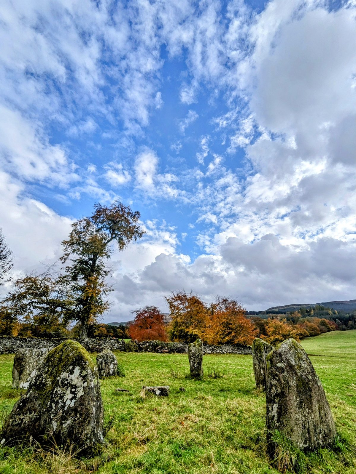 Standing stones and an old tree at Kinnell