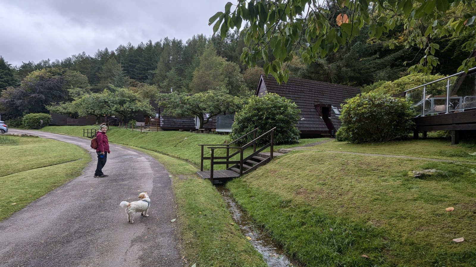 A person walking Lillie the dog along a path through holiday lodges at Laggan.