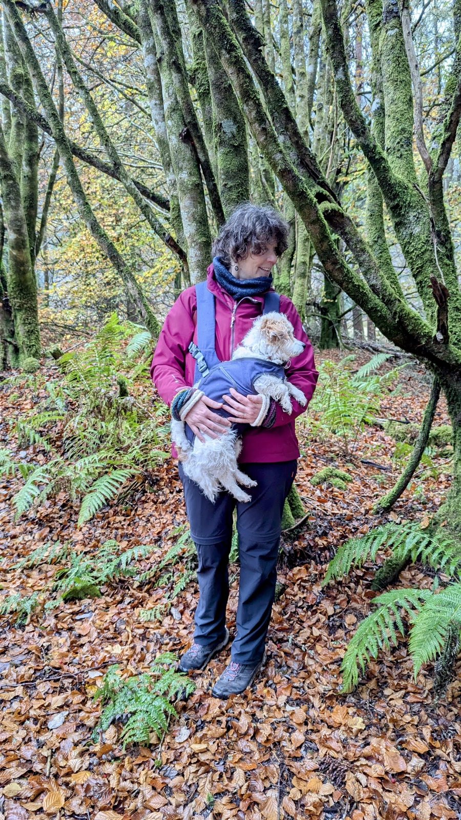 A woman holding Lillie the dog among autumn trees above the canal.