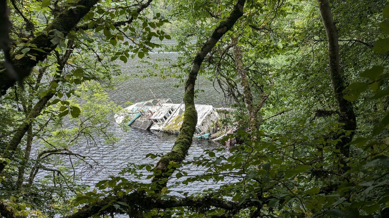 A half-sunken, moss-covered old wooden boat wreck resting in Loch Oich, seen through the trees from the shore path.