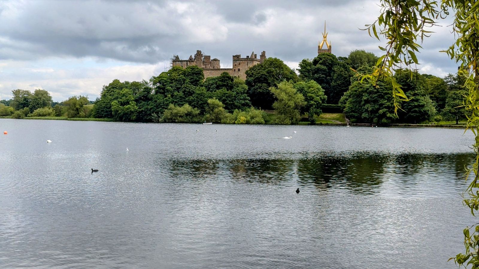 Linlithgow Loch with swans on the water and the palace and St Michael's spire on the skyline beyond.
