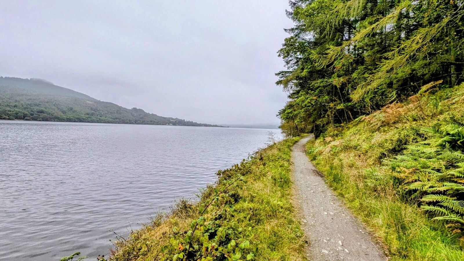 A quiet lochside road and path in the Trossachs beside calm water, wooded hills rising beyond.