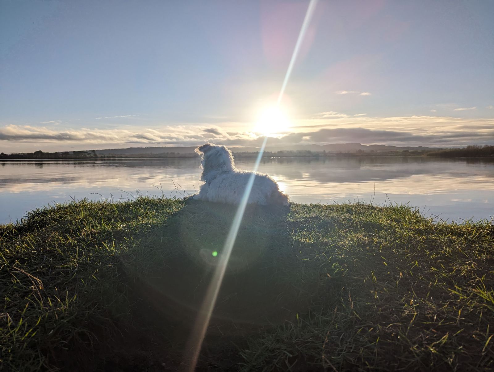 Lillie silhouetted on a mound above Loch Leven at first light