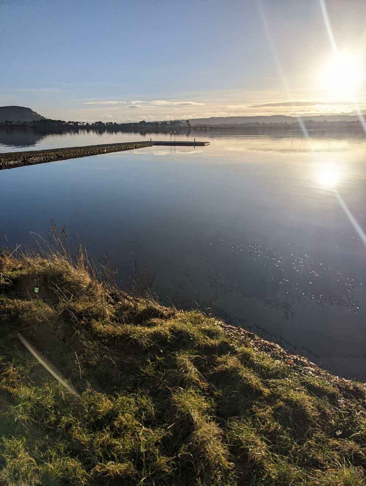 Lillie the dog on the bank of Loch Leven at sunrise