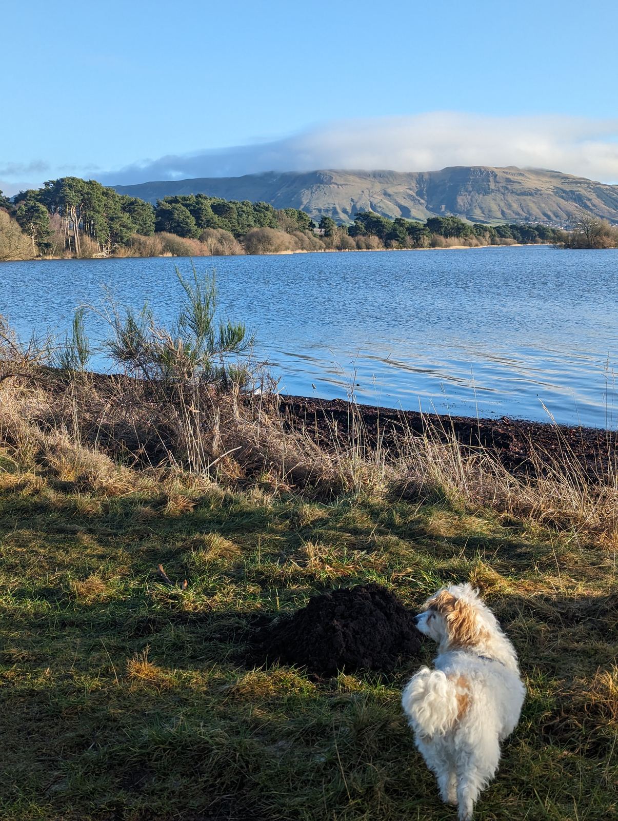 Loch Leven and the hills, Lillie on the shore