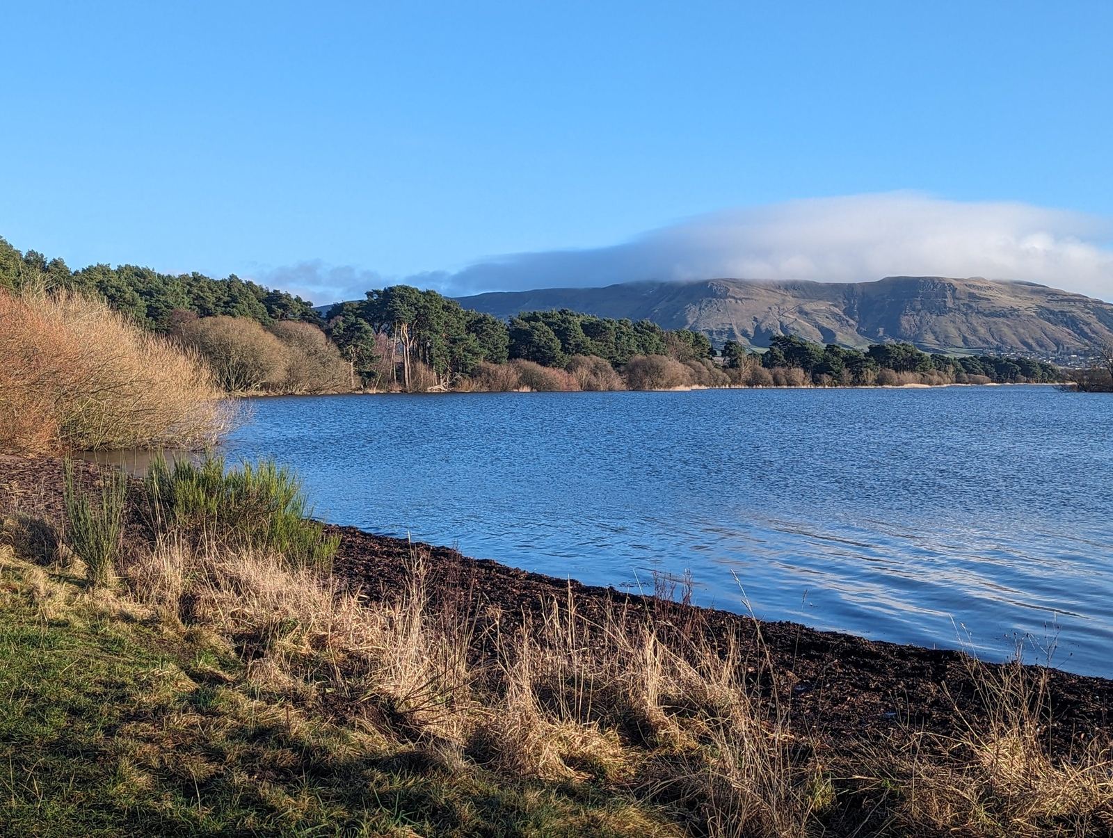 Reeds and the shore of Loch Leven under a clear winter sky