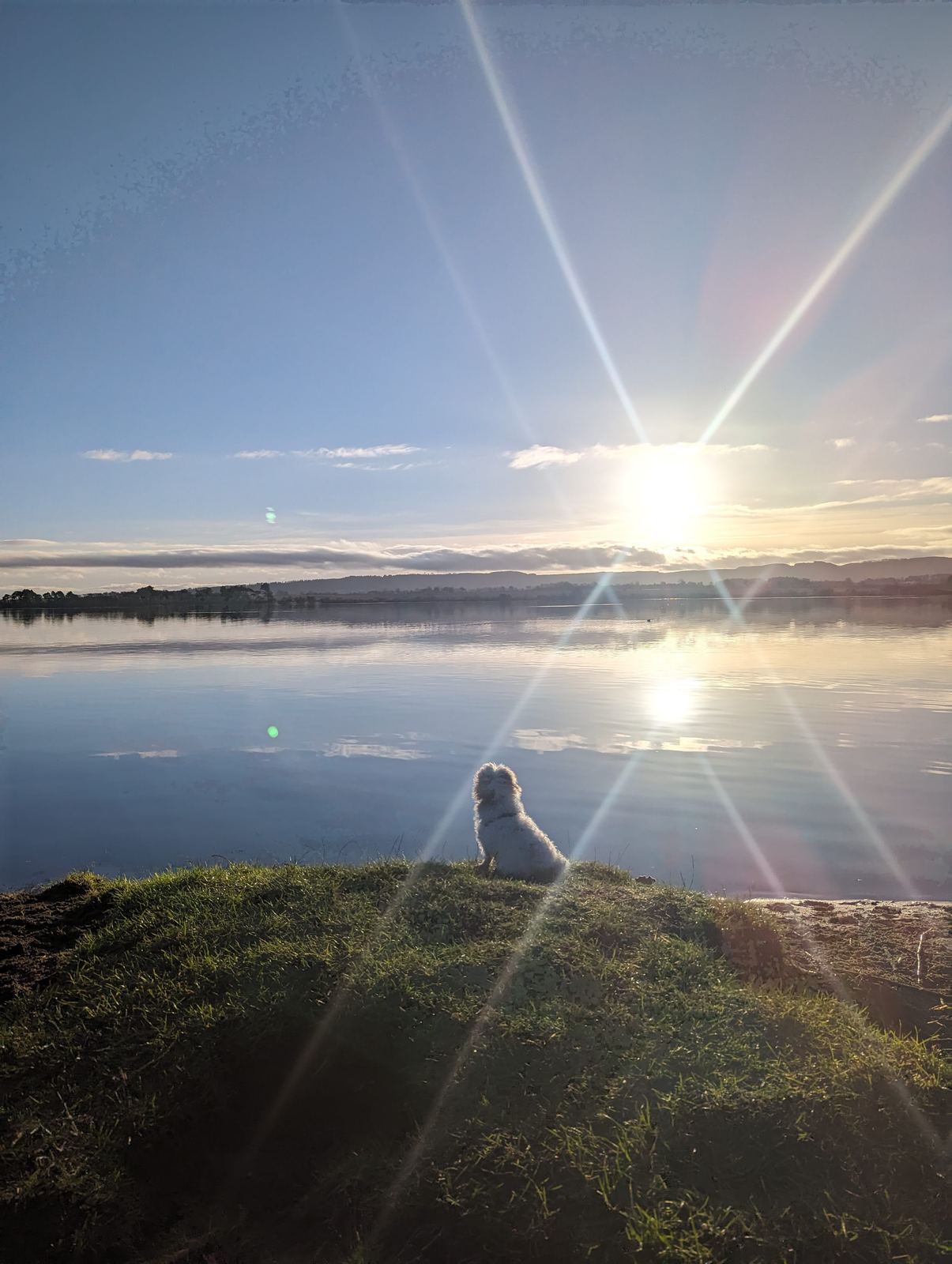 Lillie on the shore of Loch Leven at sunset