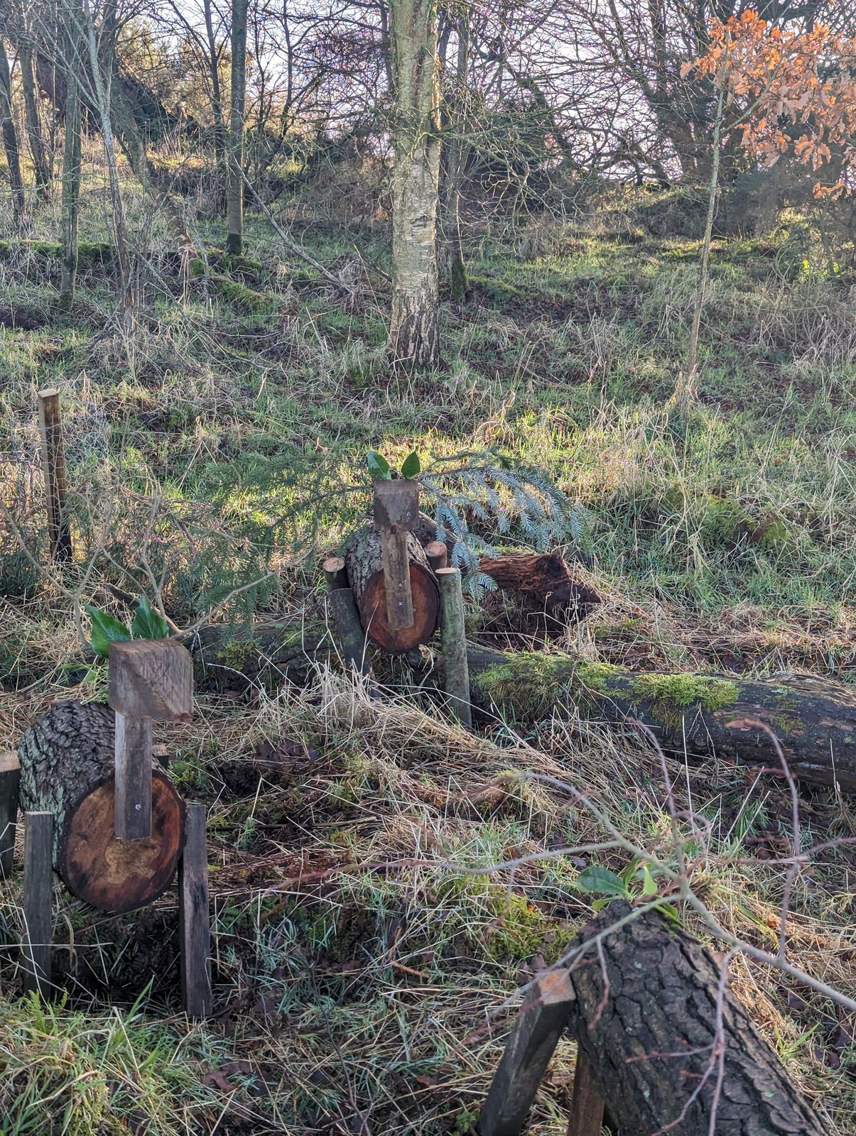 Carved wooden sculptures in the woodland beside Loch Leven