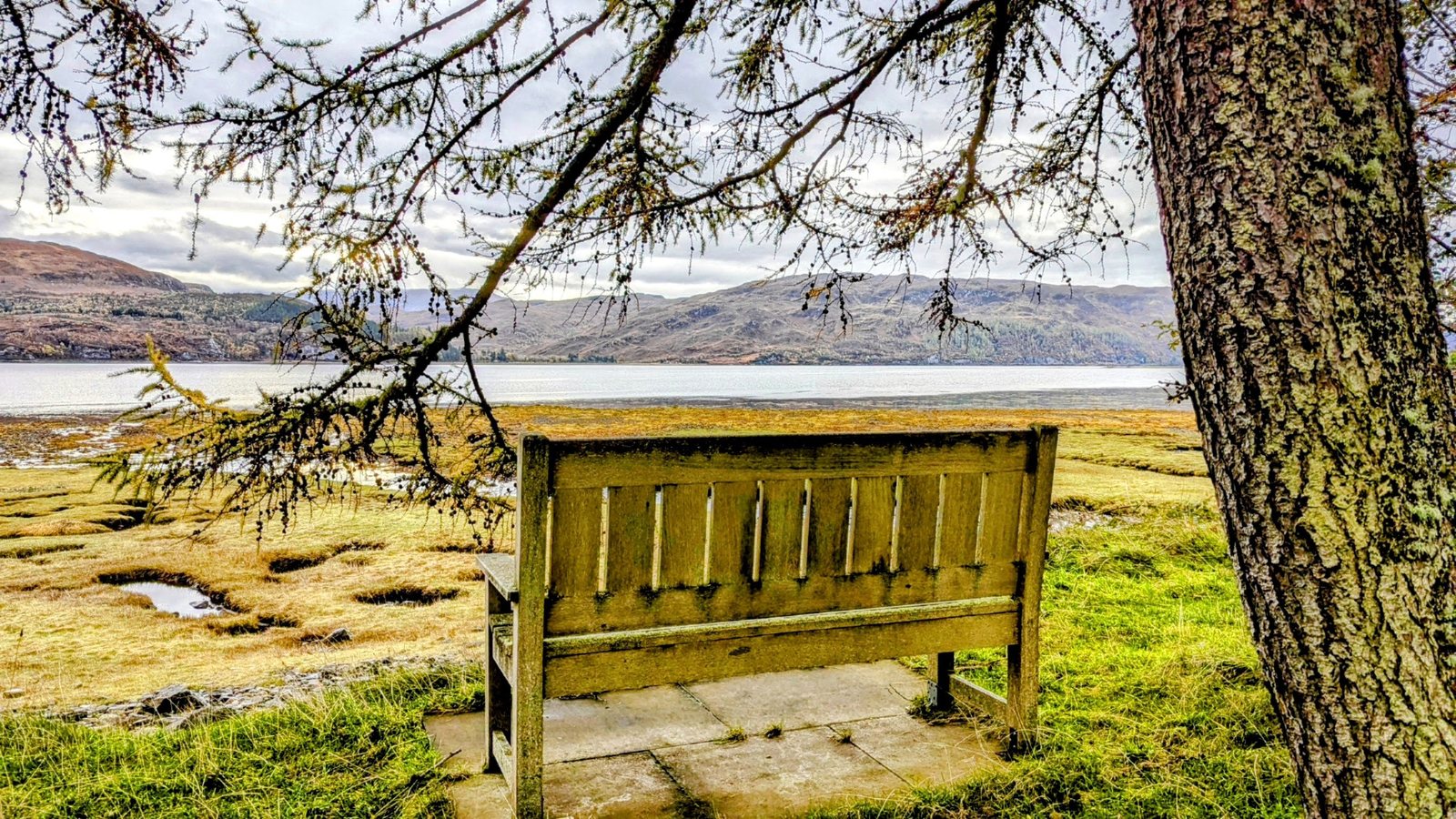 A bench under a tree looking over Loch Carron.