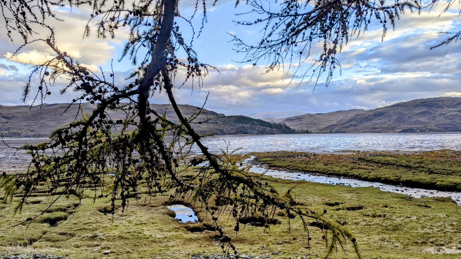 The river and hills of Strathcarron framed by a tree.