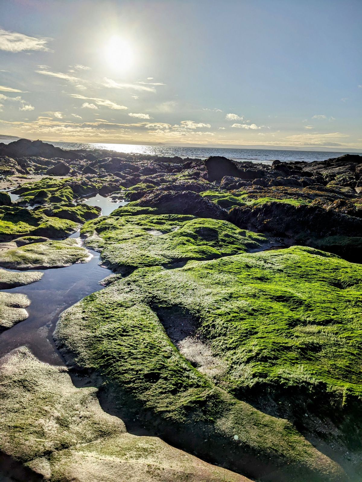 Rock pools and mossy rocks on the shore at Lower Largo