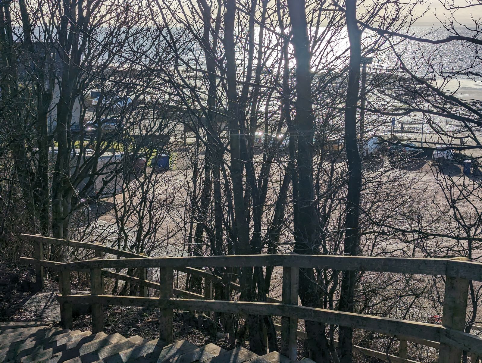 A wooded path with steps leading down toward the shore at Lower Largo
