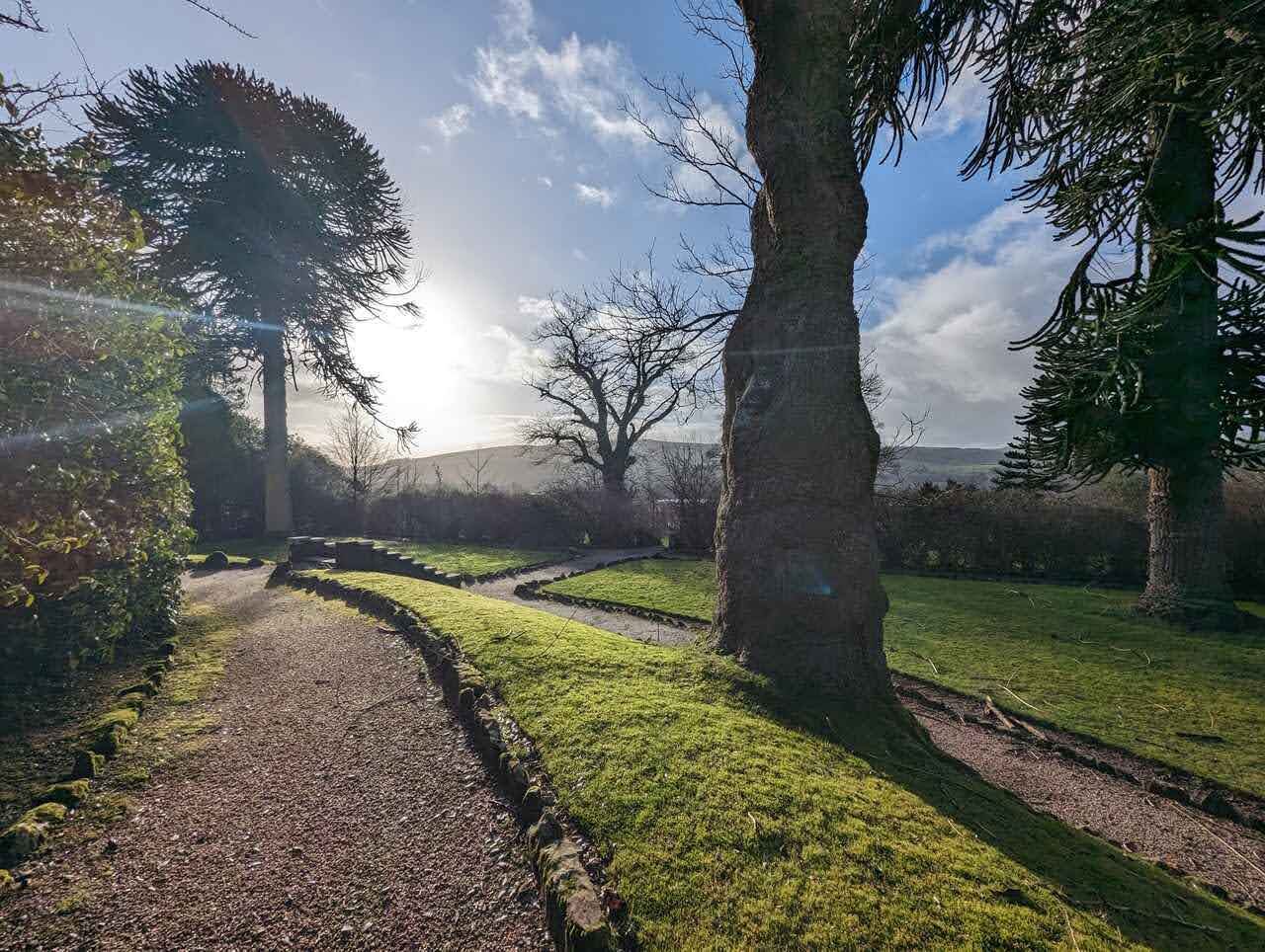 A tree-lined path in Balloch Castle Country Park with low sun through the branches.