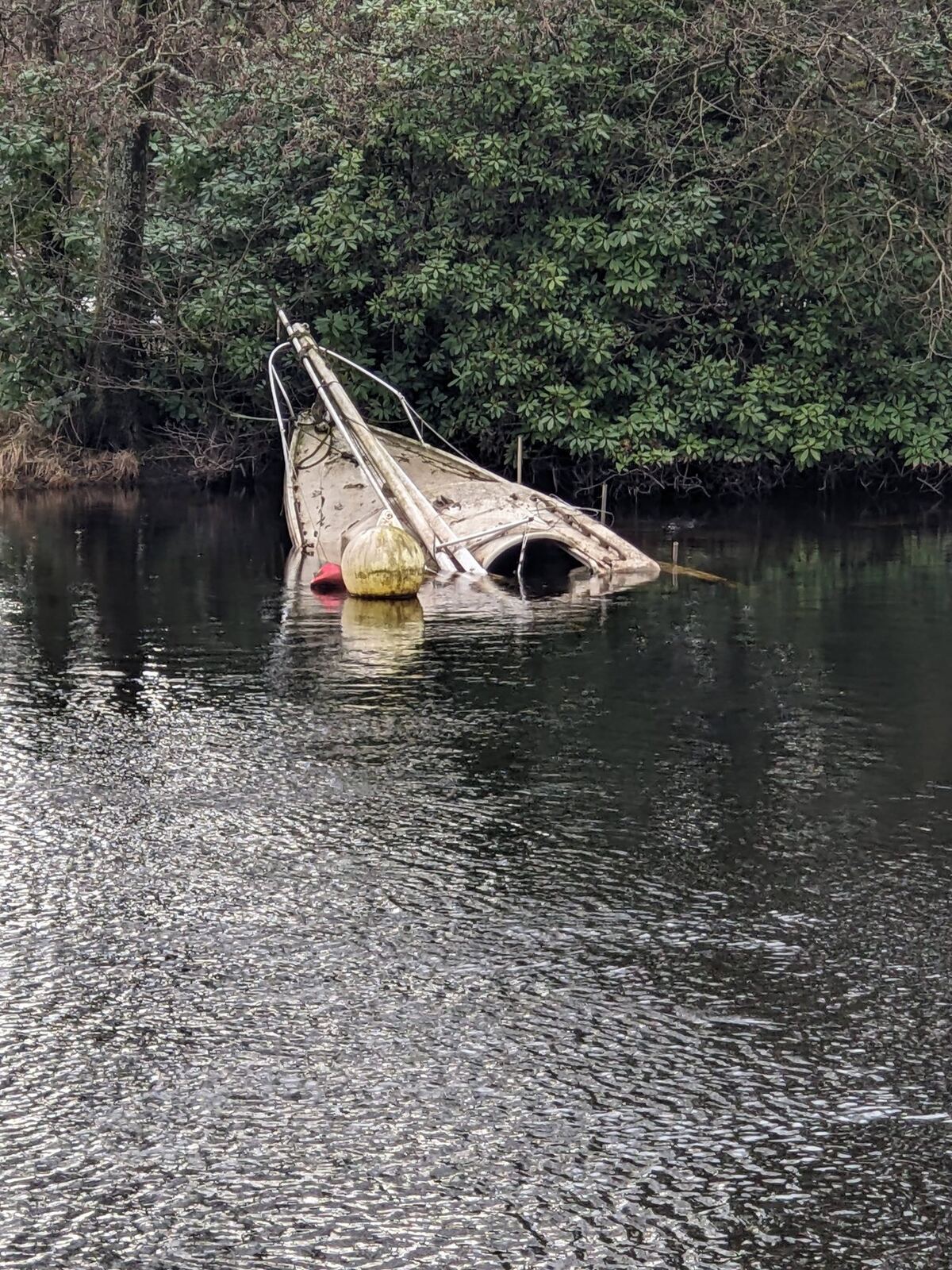 A wooden boat abandoned and half-sunk in the River Leven at Balloch, mast leaning, hull filling with water.