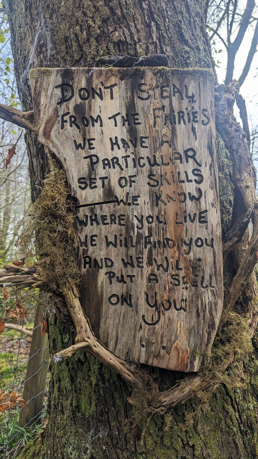 A carved wooden sign on a tree reading 'Don't steal from the fairies — we have a particular set of skills…' on the Luss fairy trail.