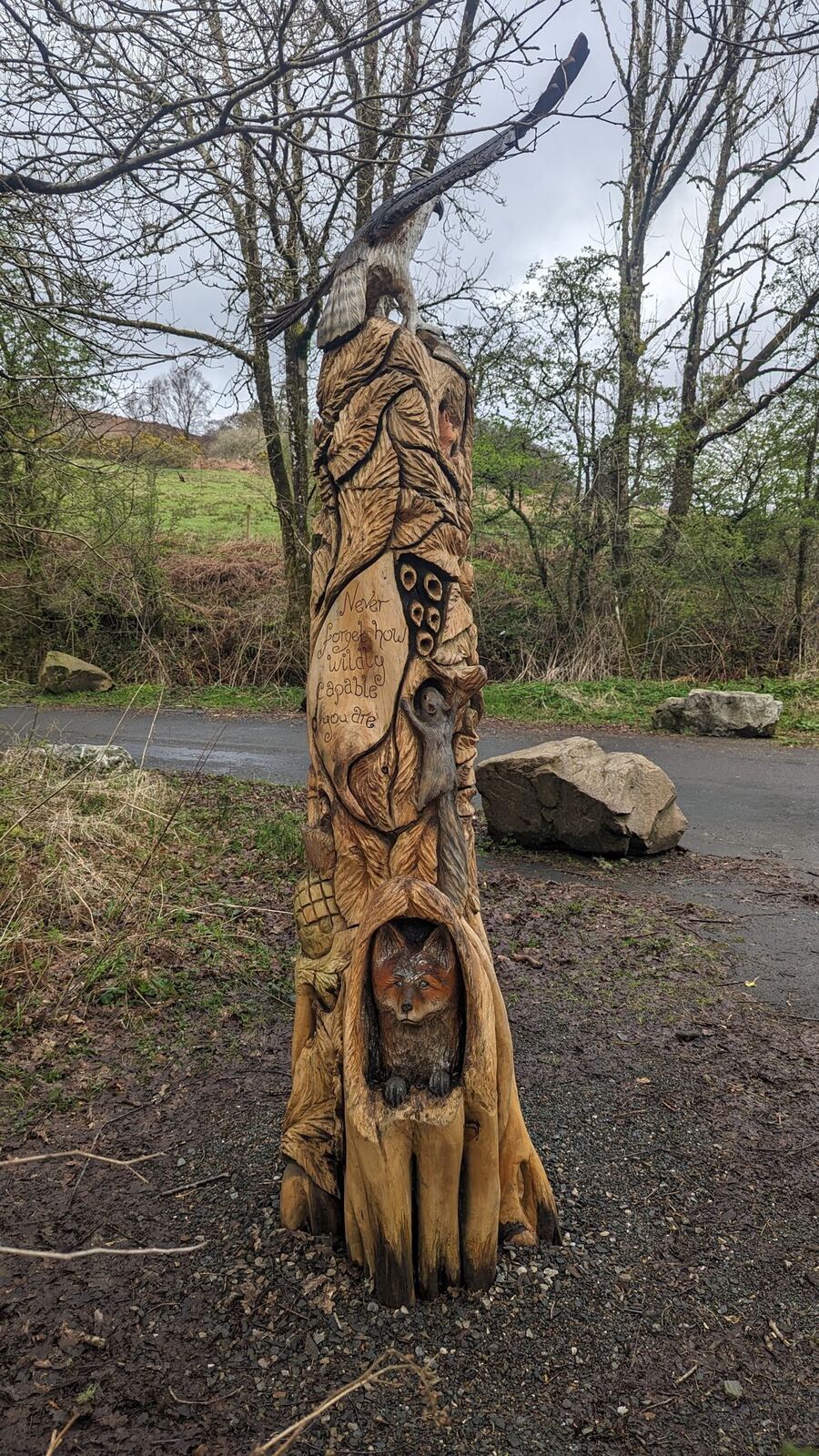 A tall carved wooden fairy figure emerging from a tree trunk on the Luss fairy trail.