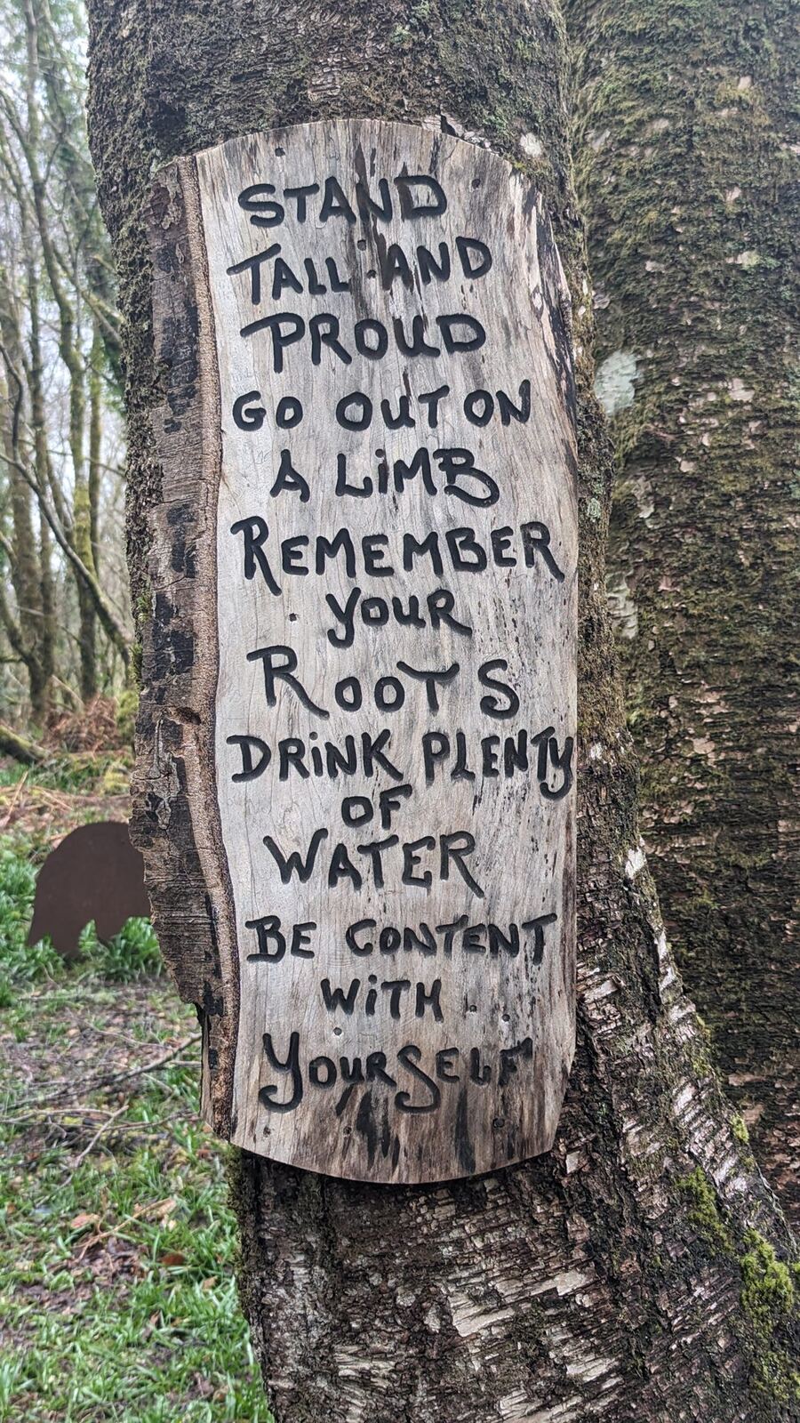 A carved wooden poem on a tree trunk: 'Stand tall and proud… remember your roots, drink plenty of water, be content with yourself.'