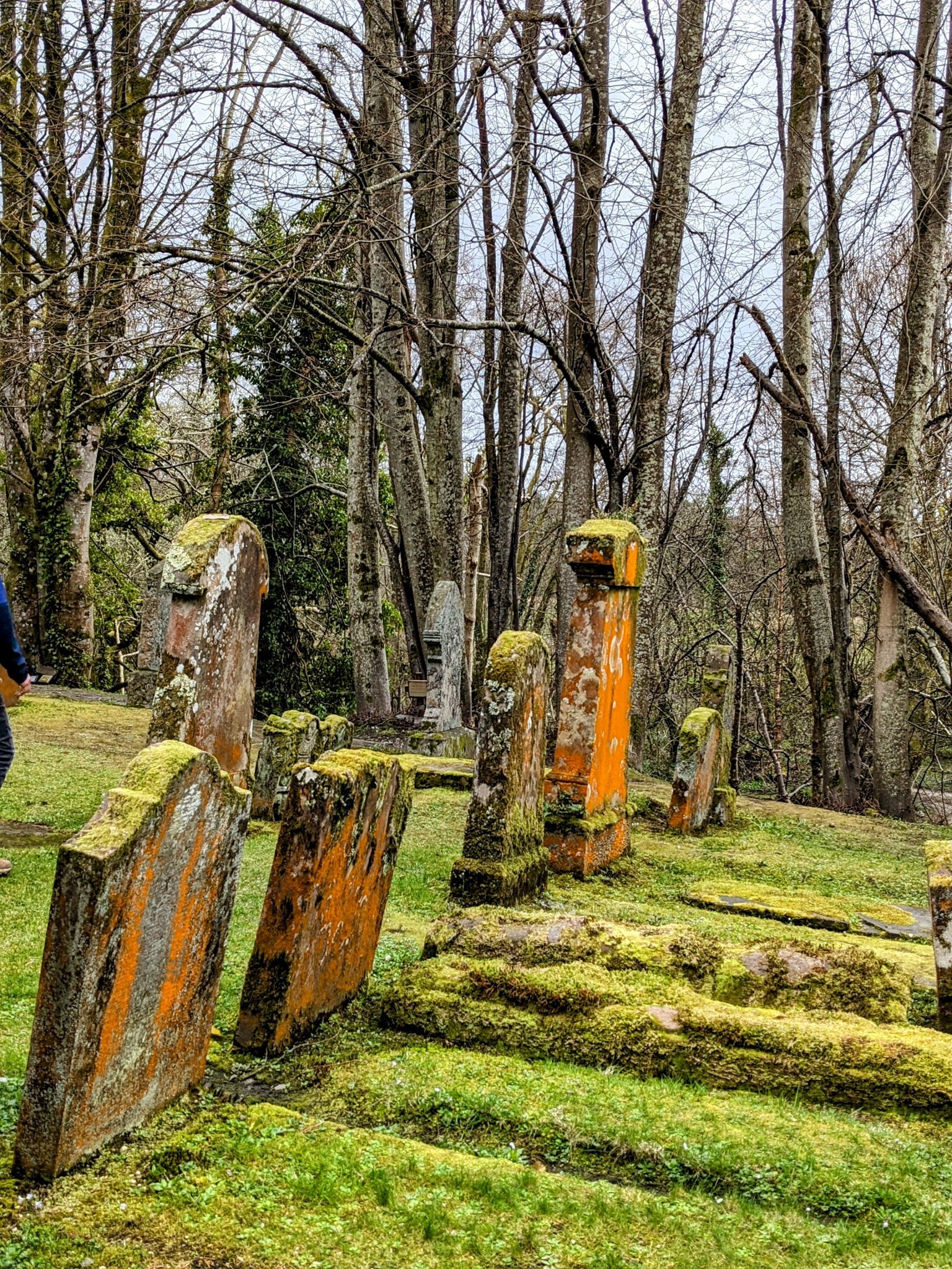 Mossy and lichened stone tombs among bare trees in the ancient churchyard at Luss.