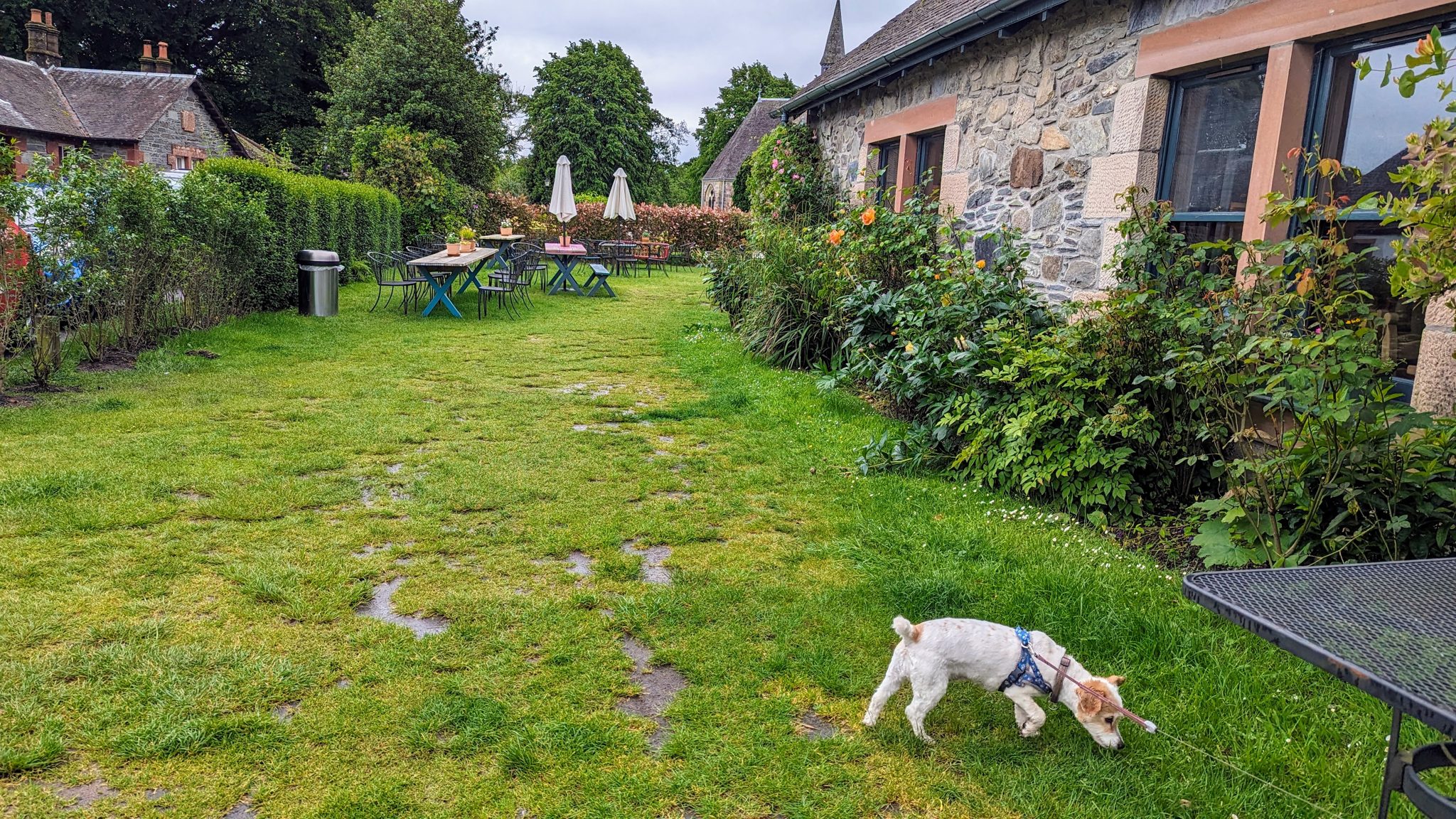 The stone Coach House Coffee Shop and its garden at Luss, with Lillie the dog on the grass.