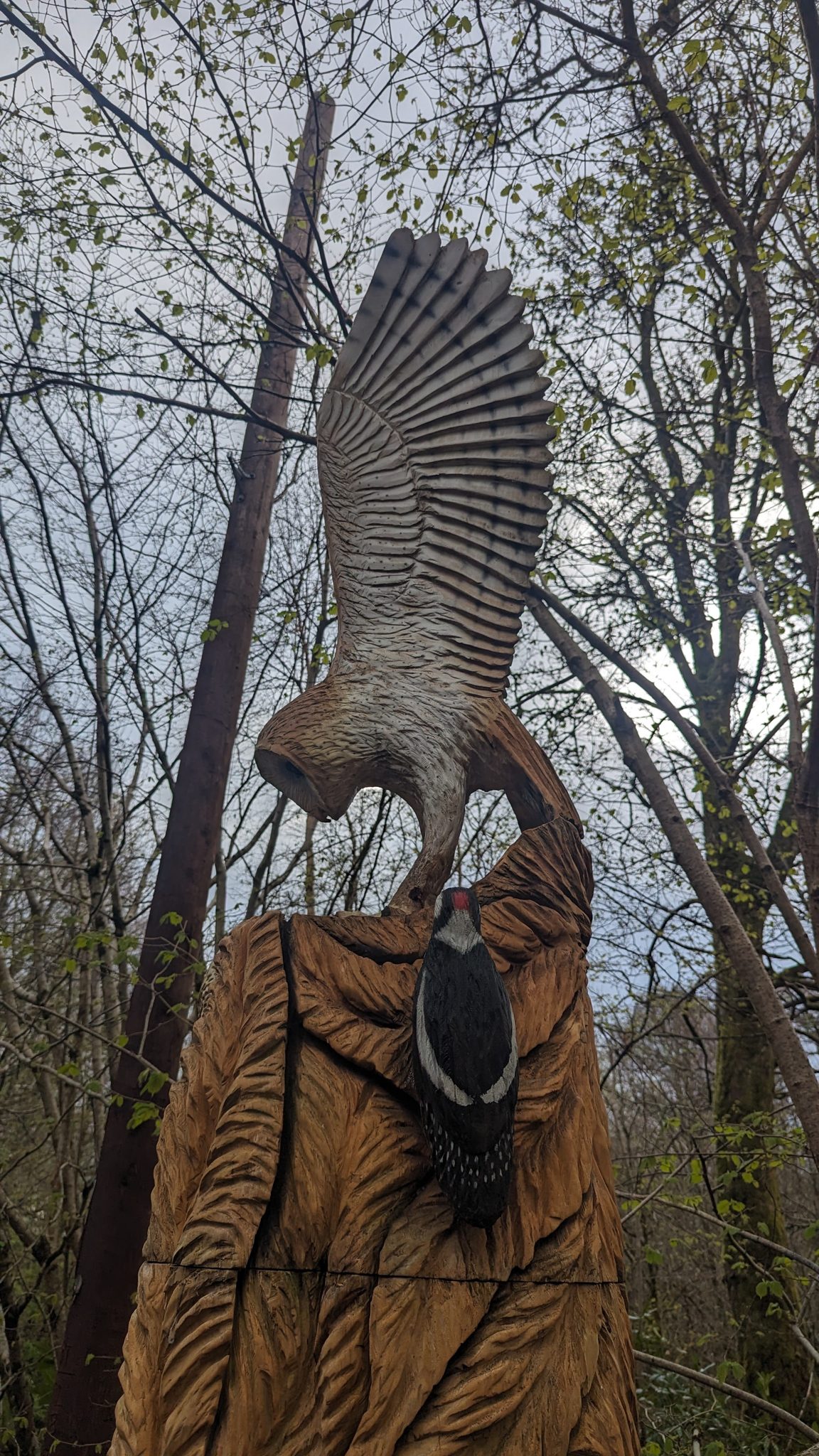 A carved wooden bird of prey with wings spread wide on a tree on the Luss fairy trail.