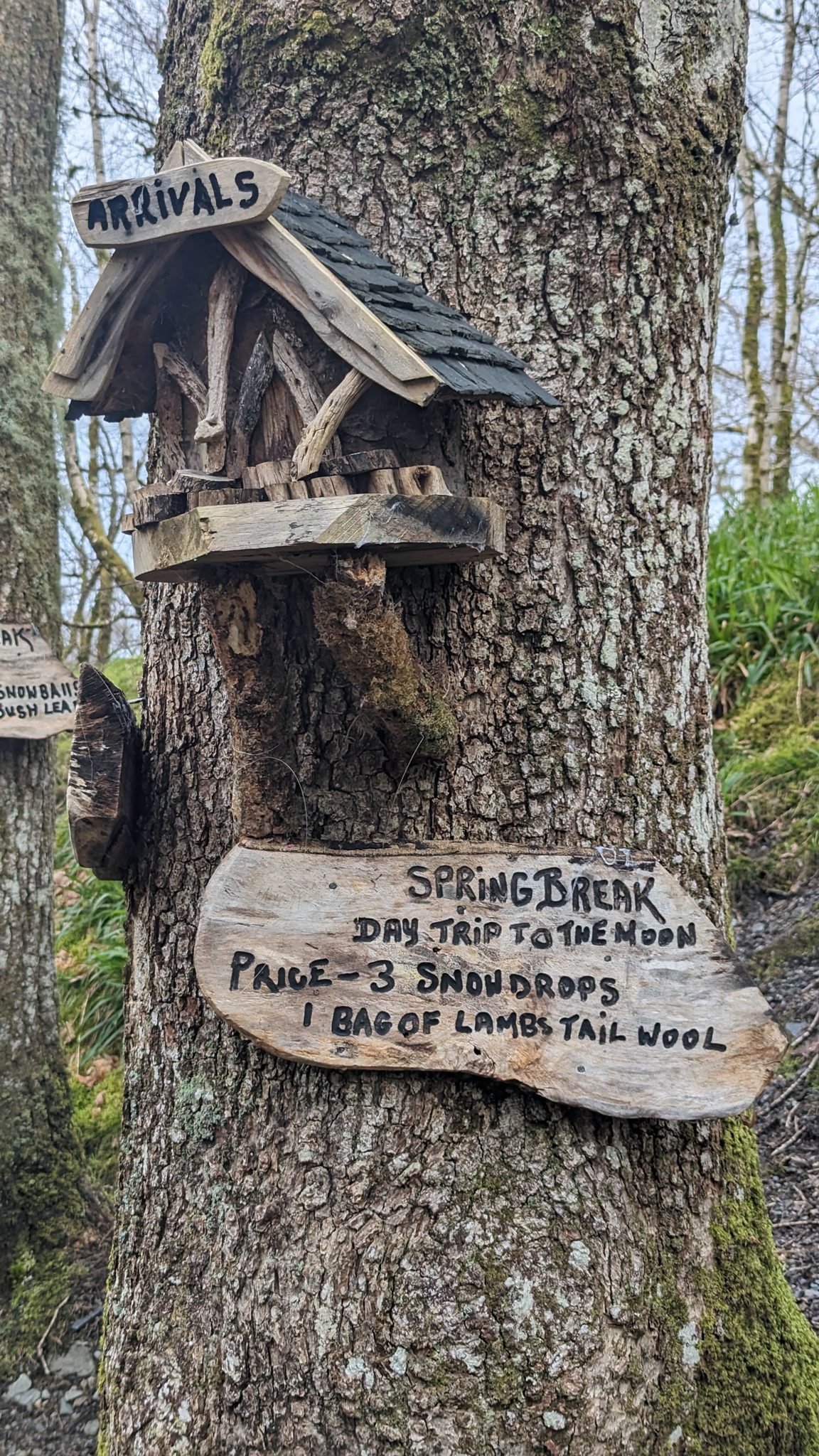 A fairy house sign on a tree reading 'Spring Break — day trip to the moon' on the Luss fairy trail.