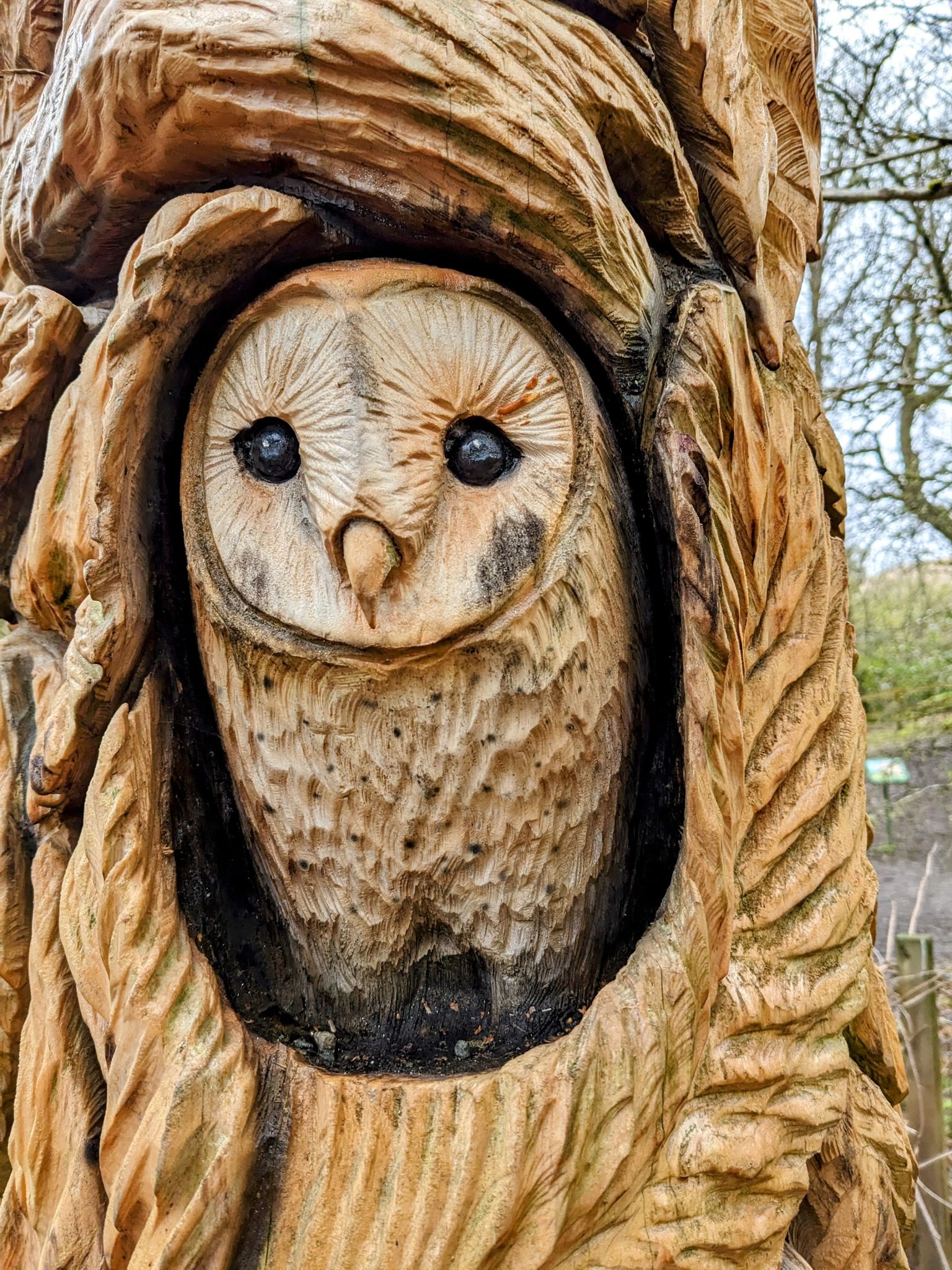 A large, beautifully detailed wooden owl carved into a tree hollow on the Loch Lomond fairy trail at Luss.