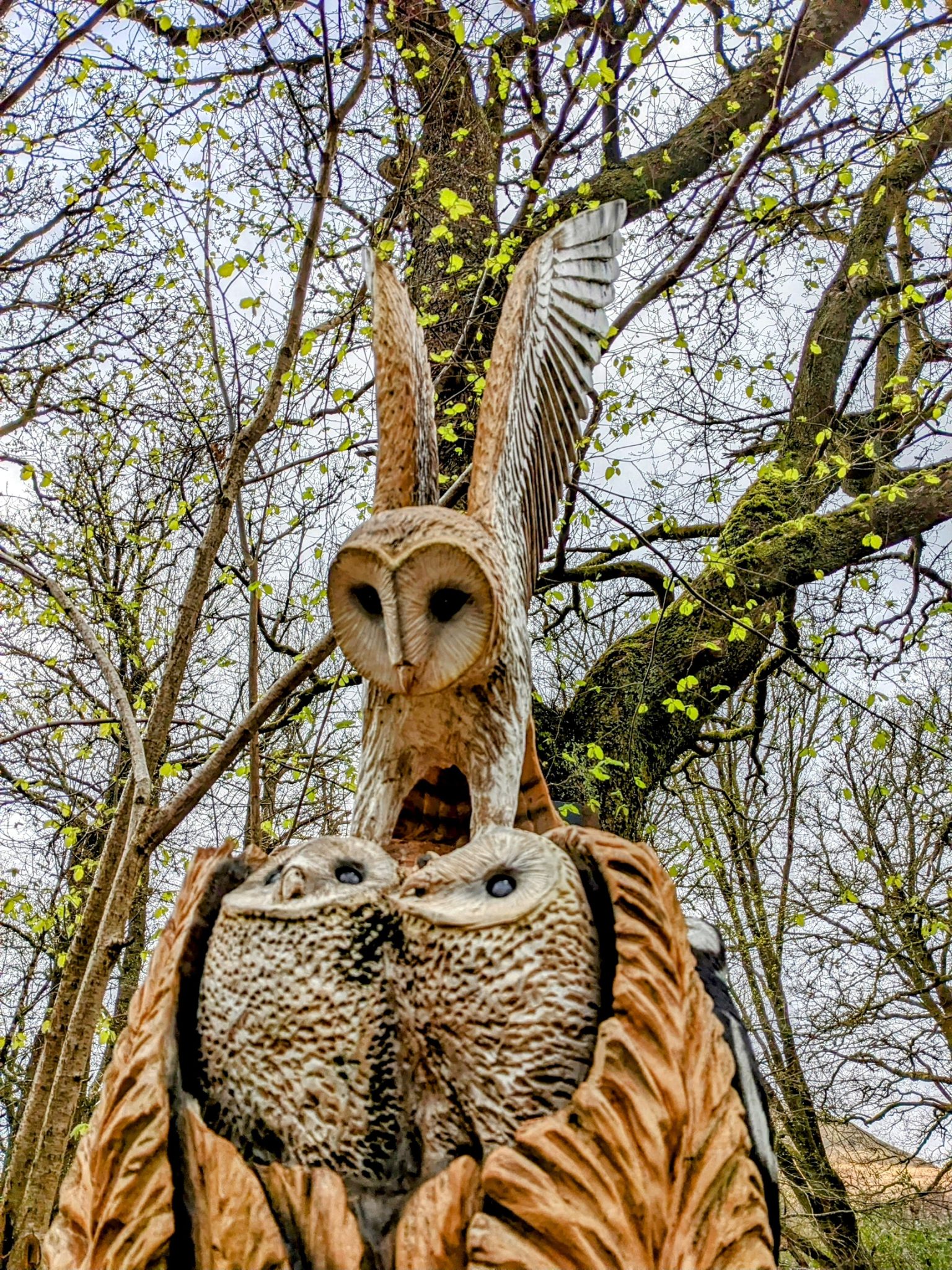 A carved wooden barn owl with owlets and spread wings on the Luss fairy trail.