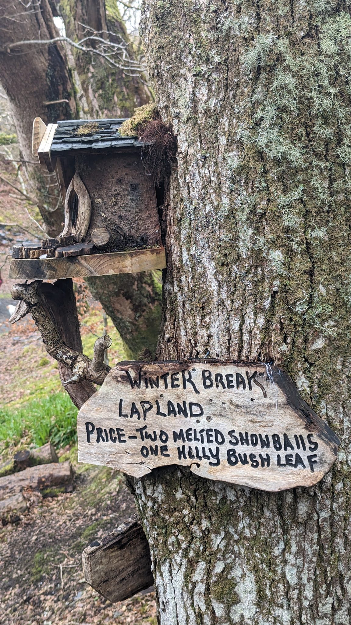 A carved fairy sign on a tree reading 'Winter Break — Lapland' on the Luss fairy trail.