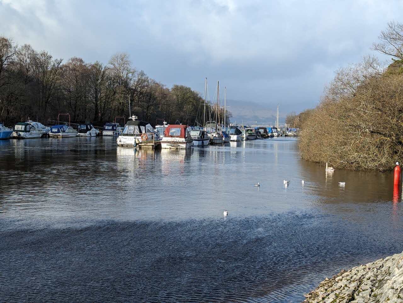 Moored boats in the little marina at Luss on Loch Lomond.