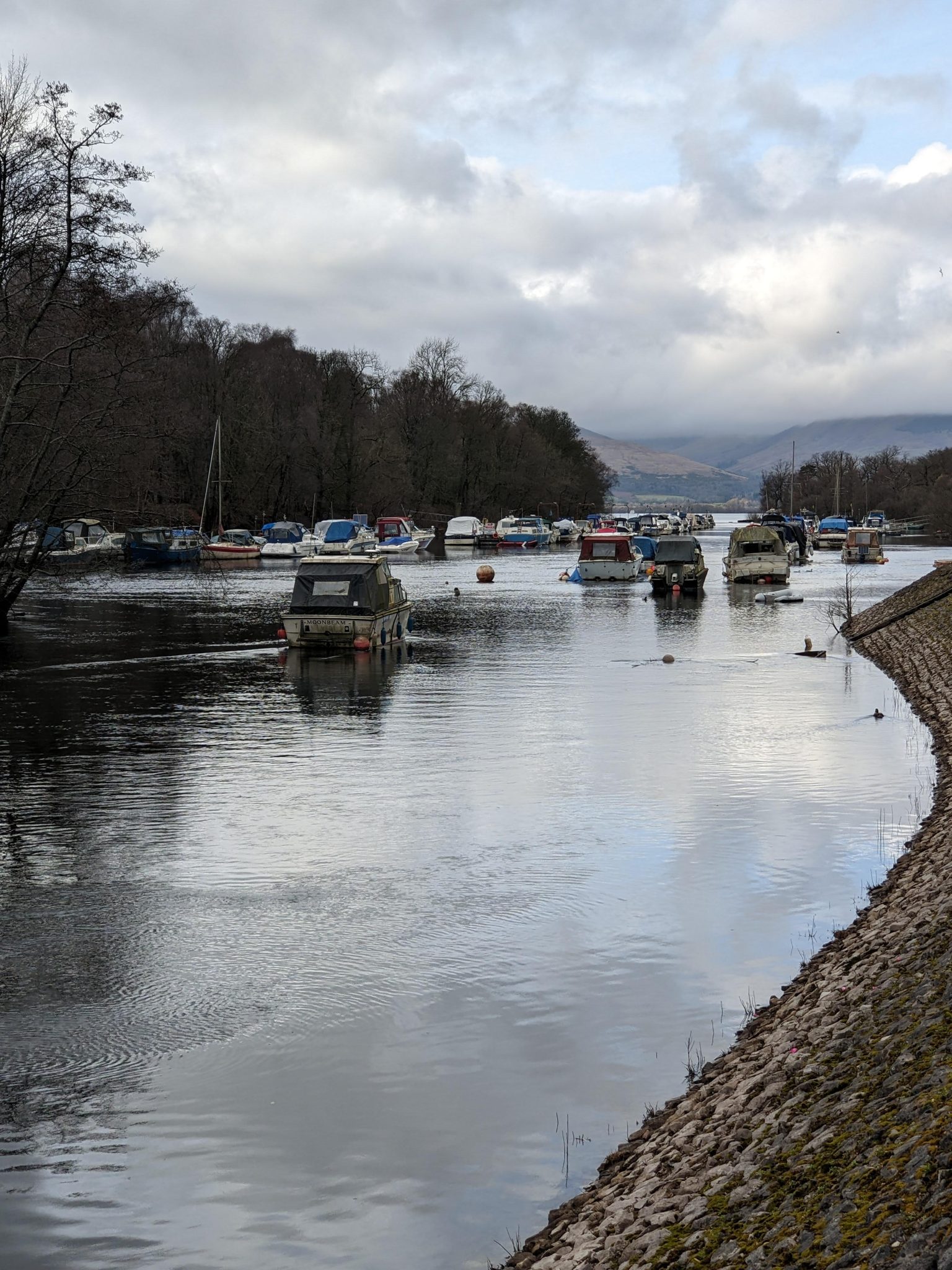 Boats and bare winter trees reflected in the still water at Luss marina.