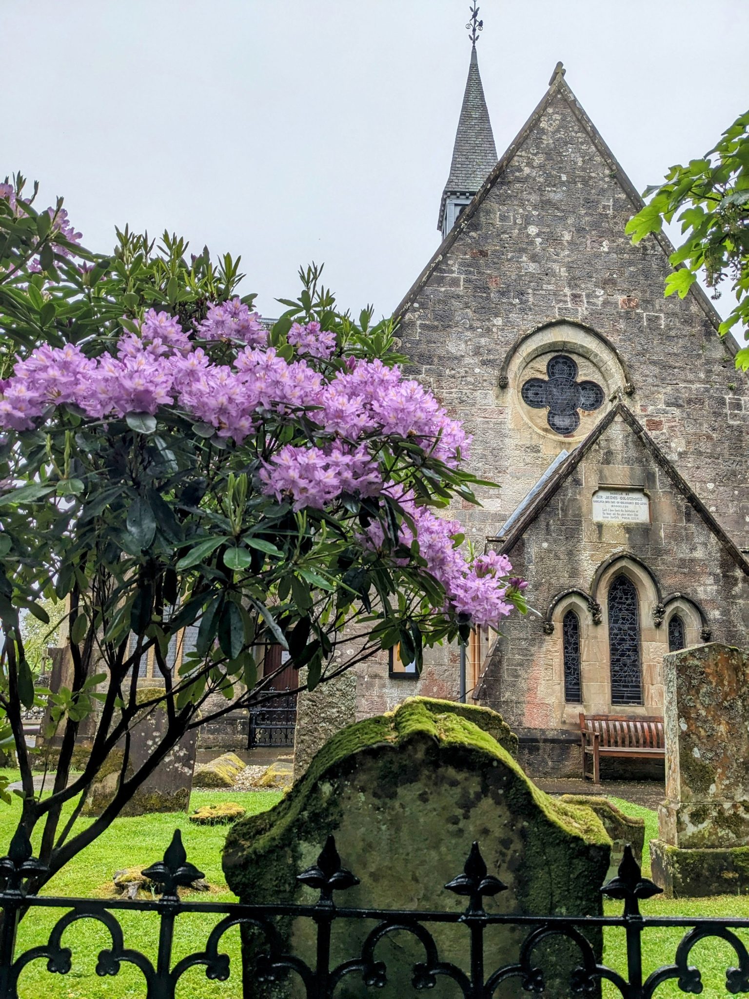 Luss Parish Church in spring with pink rhododendron in bloom and old gravestones in front.