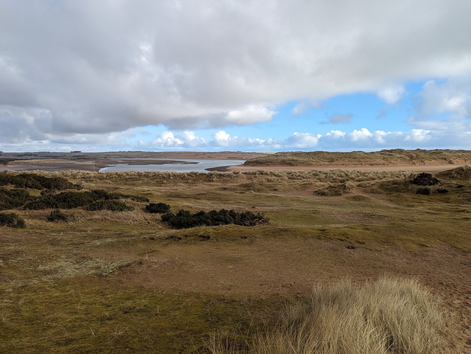 The dune heath of the Sands of Forvie nature reserve.