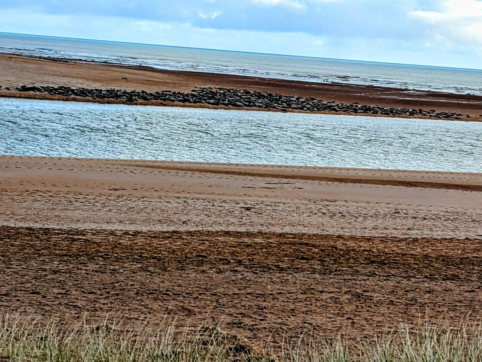 Ploughed farmland running down to the sea near Newburgh.