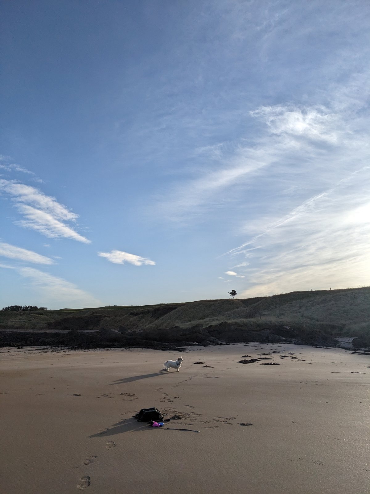 A quiet stretch of the North Berwick shore.
