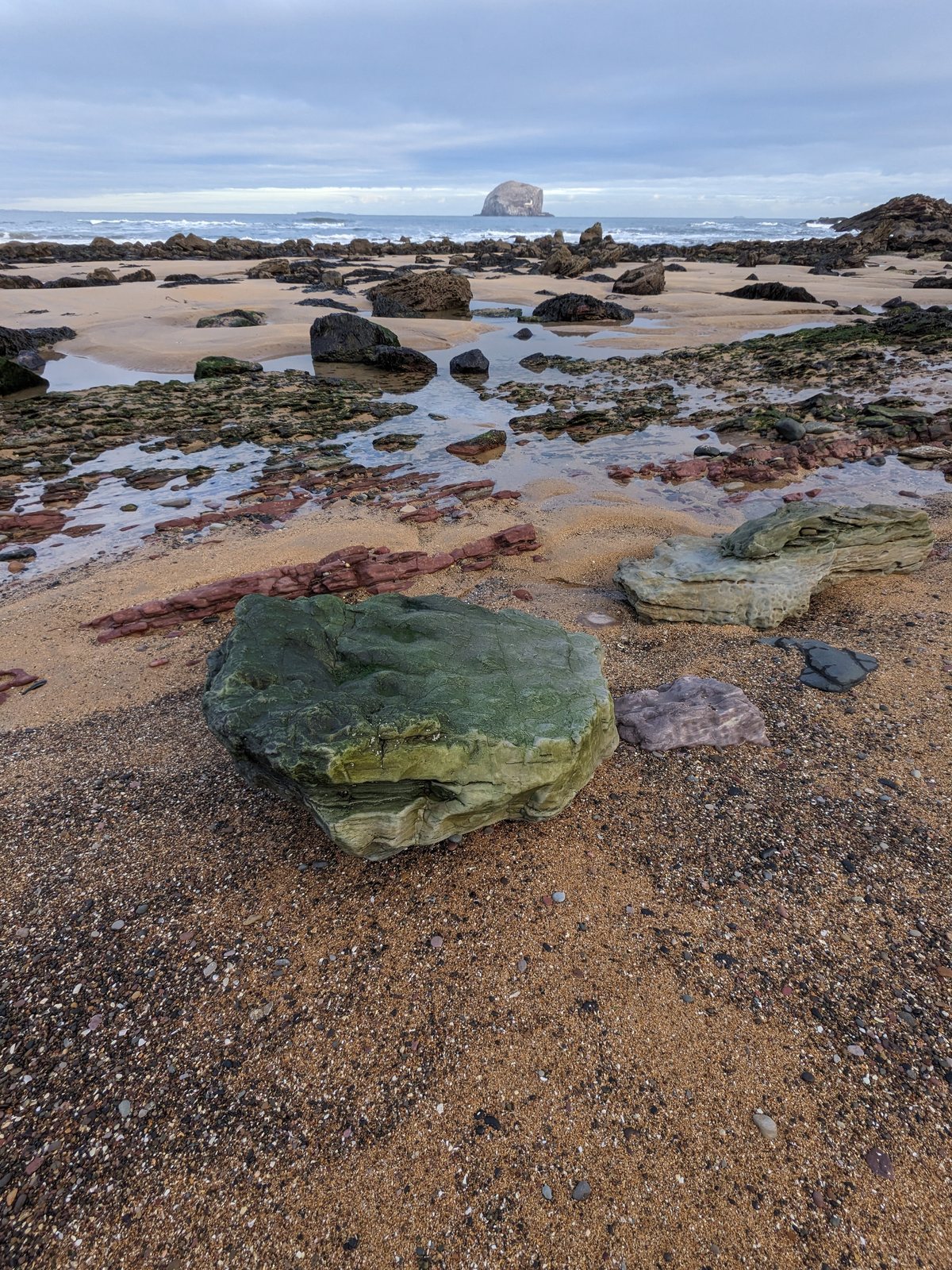 Rocky shore below the coast path.