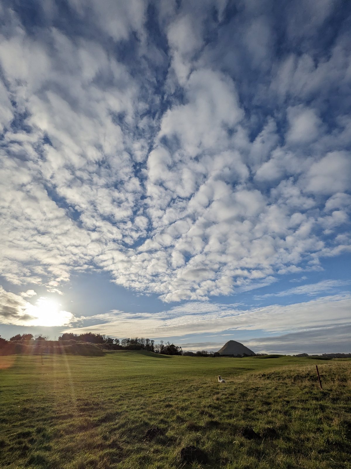 The coast stretching east toward the Bass Rock, North Berwick.