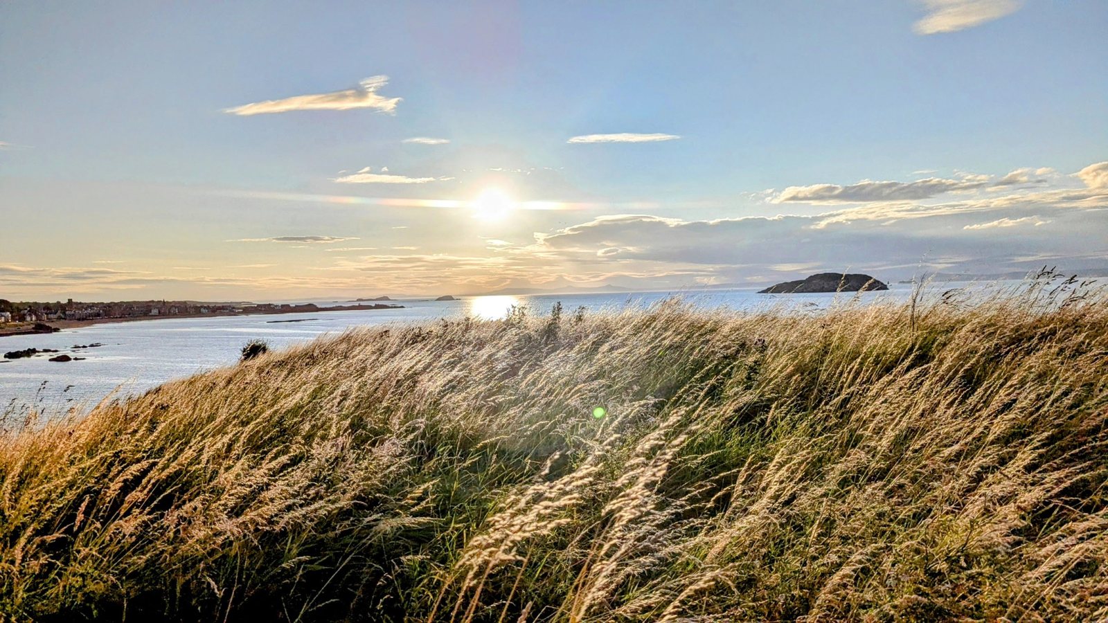 The marram dunes behind the beach at North Berwick.